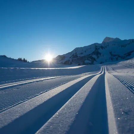 Haus Roswitha Gasthof Damüls